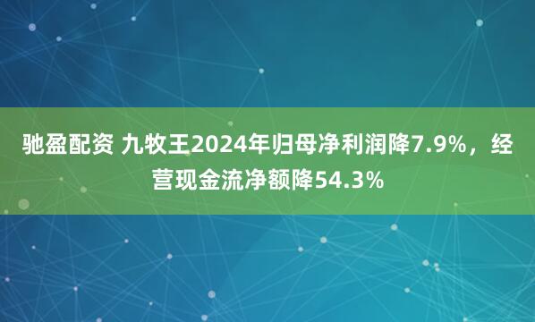 驰盈配资 九牧王2024年归母净利润降7.9%，经营现金流净额降54.3%