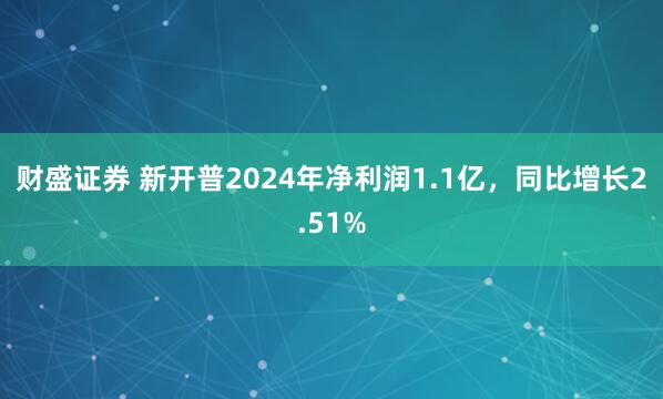 财盛证券 新开普2024年净利润1.1亿，同比增长2.51%