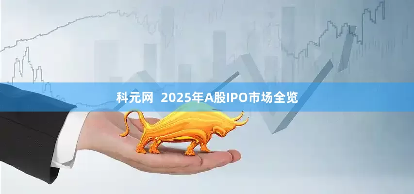 科元网  2025年A股IPO市场全览
