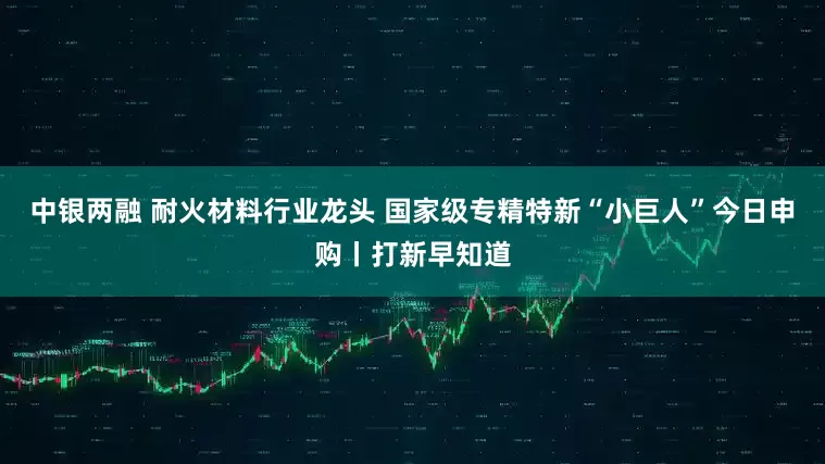 中银两融 耐火材料行业龙头 国家级专精特新“小巨人”今日申购丨打新早知道